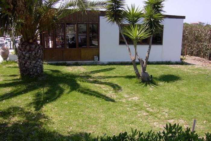 Alkmini Hotel Theológos Exterior foto
